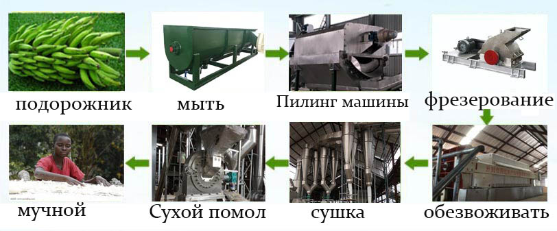 машина для обработки подорожника